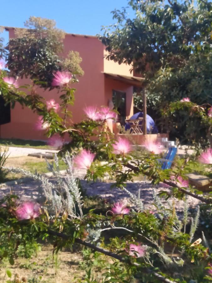Alto Paraíso de Goiás Lobo Guara Hospedagem Loft מראה חיצוני תמונה
